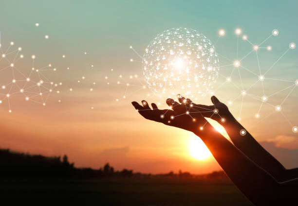 istock Man hands holding global network and data customer connection on nature background. 1165058709