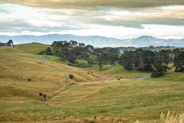 istock typical rural landscape in New Zealand 1165062384