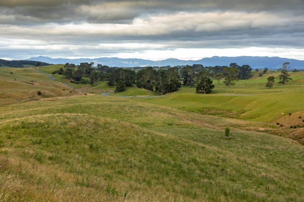 istock typical rural landscape in New Zealand 1165062388