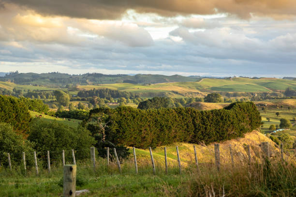 istock typical rural landscape in New Zealand 1165062471
