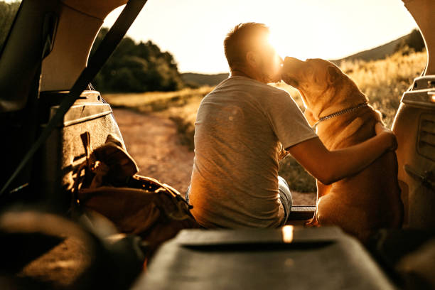 istock We are travelers 1165063902