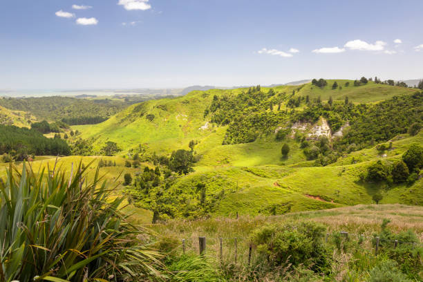 landscape Matamata An image of a beautiful landscape near Matamata New Zealand matamata new zealand stock pictures, royalty-free photos & images