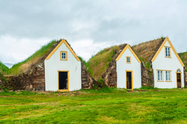 istock Turf houses in Iceland 1165067833