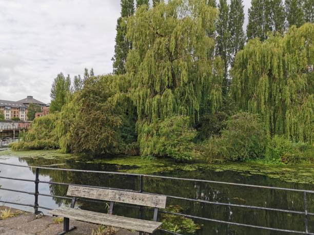 istock English river with iron bridge and willows 1165067999