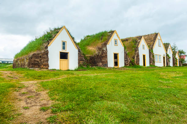 istock Turf houses in Iceland 1165068241