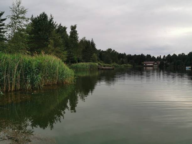 istock Calm water on the lake surrounded by trees 1165068937