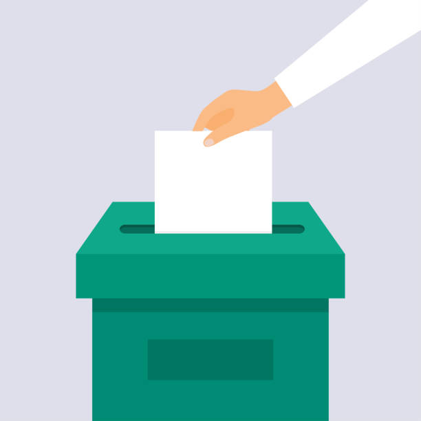 ilustrações de stock, clip art, desenhos animados e ícones de hand puts voting ballot in ballot box. election concept. - voting ballot