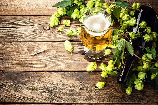 beer background of beer glass, bottle and fresh hops on an old wooden table. top view. space for a text