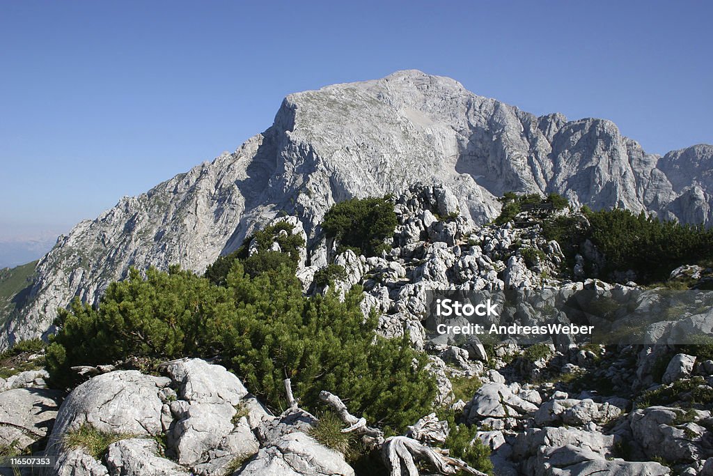 Hoher Göll Vom Kehlsteinhaus Im Berchtesgadener Land - Lizenzfrei Alpen Stock-Foto