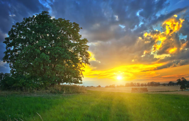 istock Sunset in the country 1165073586