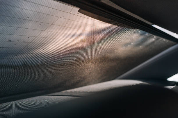 istock Car rear window curtains sunshades. Insect screen 1165077249