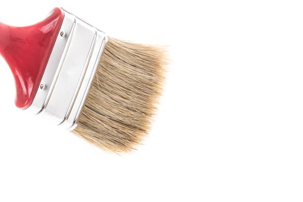 istock Unused clean paint brush isolated on white with copy space 1165077390