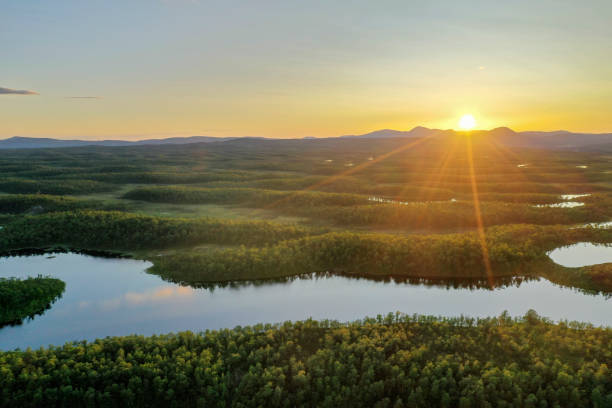 istock Lakes and forests at sunset 1165078973