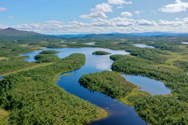 istock Lakes and forests 1165079962