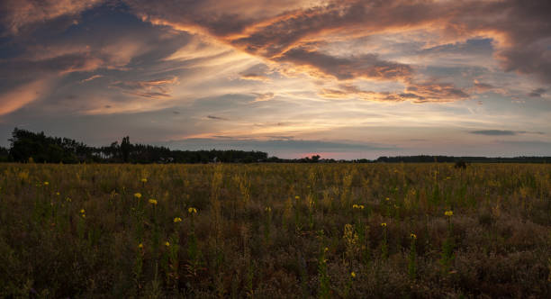 istock Majestic sunset over floral meadow 1165080117