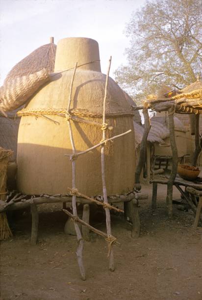istock Granary made of clay, Central Africa 1165087052