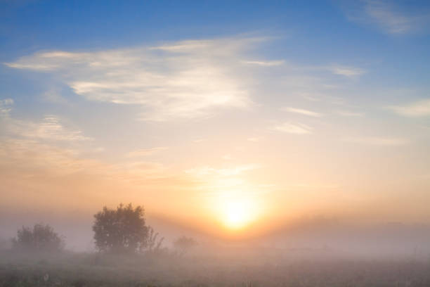 istock summer landscape with sunrise and fog 1165087090