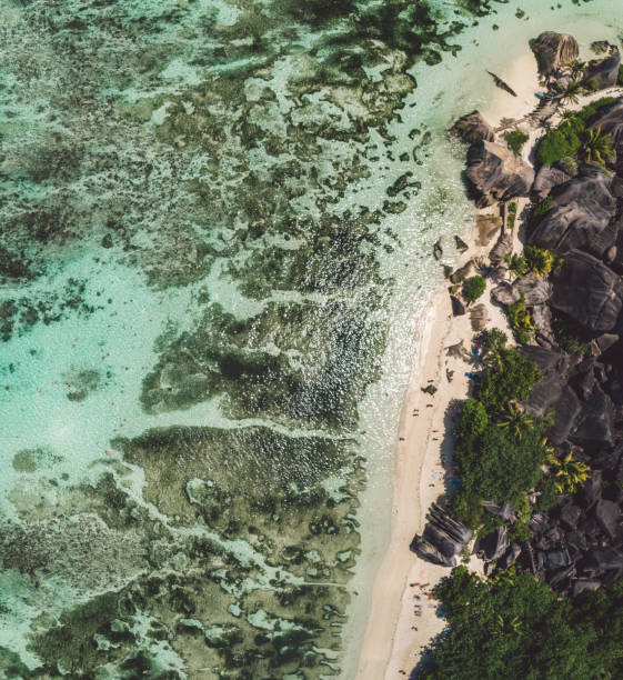 istock Aerial View Of Beach 1165088153