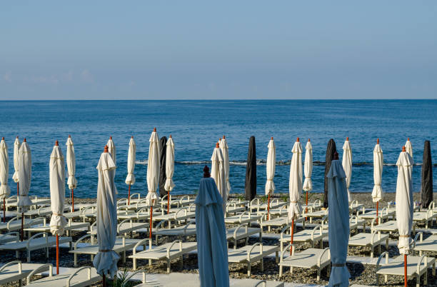 istock Beach umbrellas and sun beds on the beach 1165090844