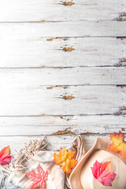 istock Autumn composition with hat, blanket and leaves 1165093495
