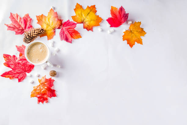 istock Autumn Flatlay with Cappuccino or hot chocolate 1165094634