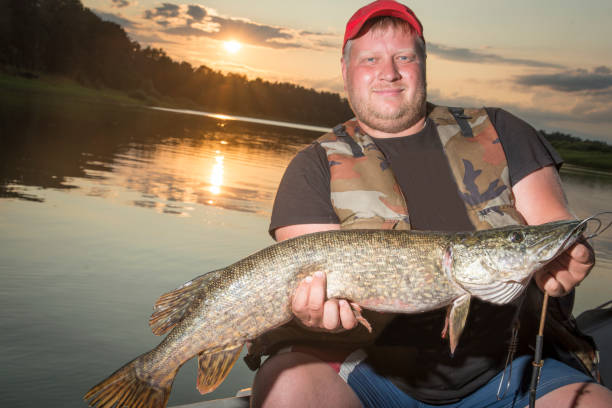 istock A man holds a fish caught. 1165094684