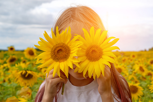 Sunflowers eyes. Adorable little girl holding Sunflowers in eyes like binoculars in the garden. Closeup kid portrait, girl closes her eyes with two sunflowers.