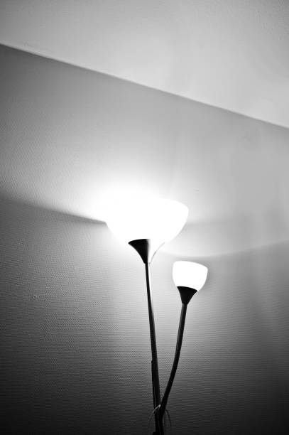 istock Round bright standing lamp. Black and white 1165098828