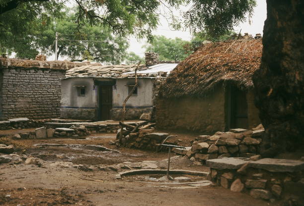 A rural area in Andhra Pradesh, India.