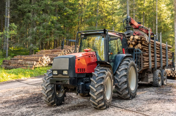 Forklift truck grabs wood in wood processing plant, pine forest, Europe