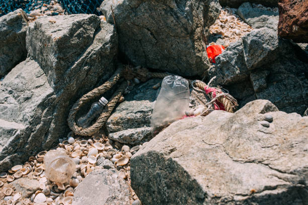 istock Garbage and plastic bottles on a beach - Environmental pollution of the sea concept 1165100283