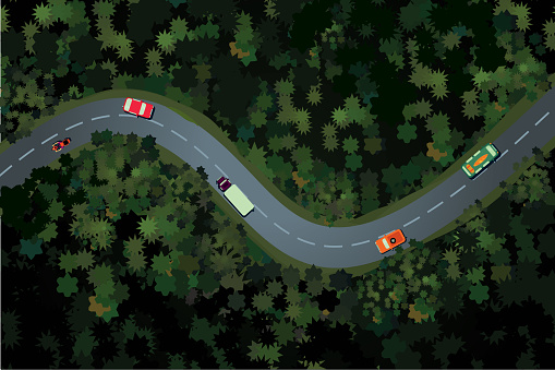Top view of a forest road with car. Holidays travel vector cartoon illustration. Rural highway, beautiful landscape.