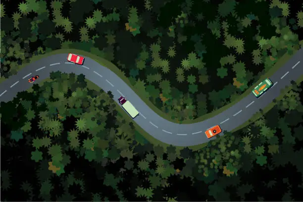 Vector illustration of Top view of a forest road with car. Rural highway, beautiful landscape. Holidays travel vector cartoon illustration.