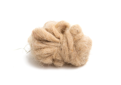 sheep wool isolated on white background