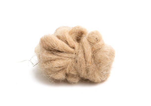 sheep wool isolated sheep wool isolated on white background fleece photos stock pictures, royalty-free photos & images