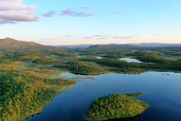 istock Lakes and forests at the golden hour 1165104250