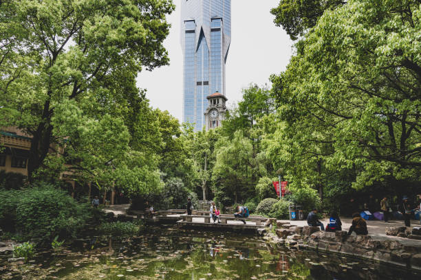 parco popolare di shanghai - peoples park foto e immagini stock