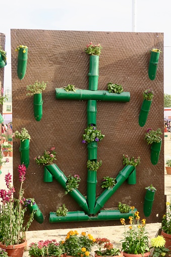 Stock photo showing environmental conservation and space saving garden design concept reusing drain pipes attached to a vertical board in an anchor shape, painted green plant pots.