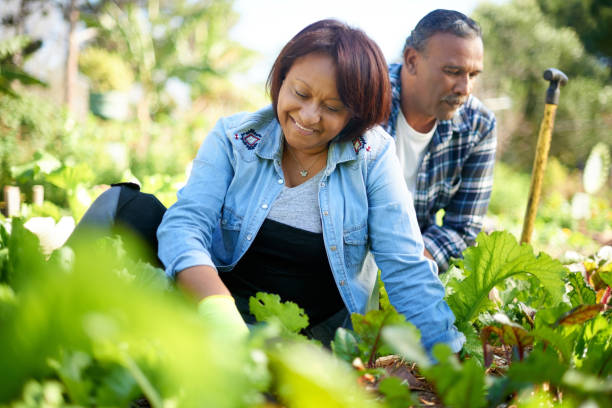 istock It's so satisfying to see something grow 1165108803