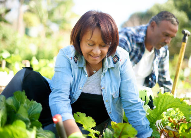 istock Gardening is a way to communicate with nature 1165108814