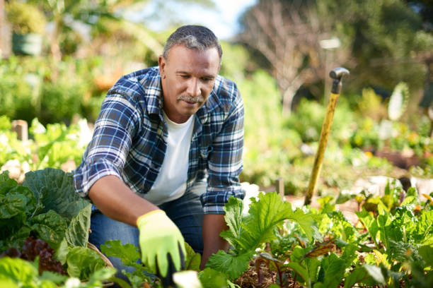 istock gardening is a fun way to do exercise without even knowing 1165108834