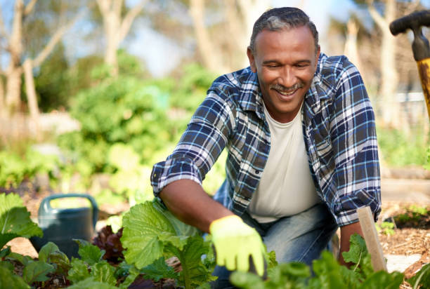 istock Enjoying some down-to-earth chores 1165108835