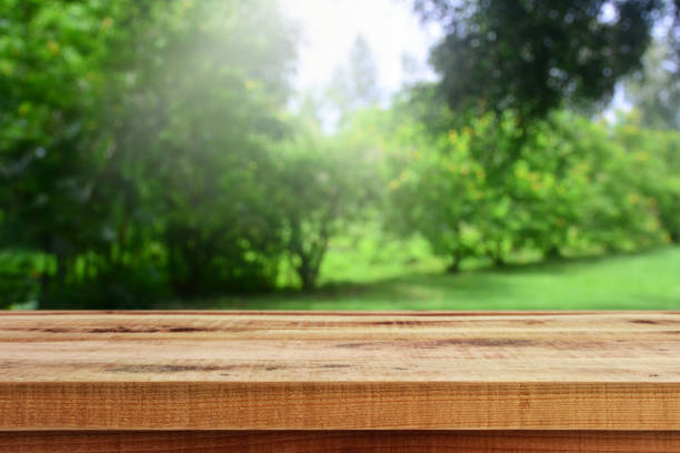 istock Empty wooden table and blurred nature garden background. 1165109912