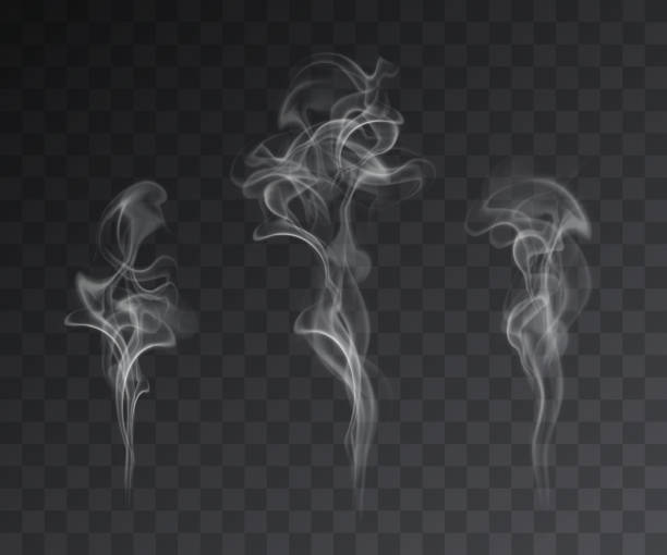 vektor-set von realistischen raucheffekten auf dunklem hintergrund - rauch stock-grafiken, -clipart, -cartoons und -symbole