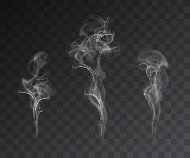 ilustraciones, imágenes clip art, dibujos animados e iconos de stock de conjunto vectorial de efectos de humo realistas sobre fondo oscuro - smoke