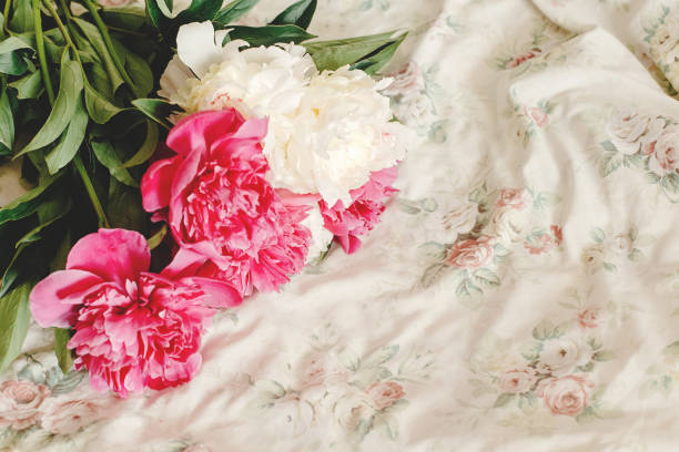 красивый красочный букет пион на цветочной кровати утром, сладкий романтический момент, пространство для текста - dressing room women female adult стоковые фото и изображения