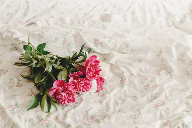 красивый красочный букет пион на цветочной кровати утром, сладкий романтический момент, пространство для текста - dressing room women female adult стоковые фото и изображения