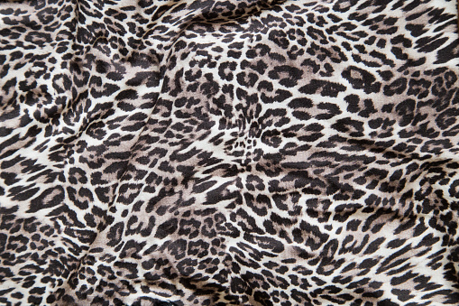 Leopard Background Texture Safari Pattern Leopard Print Fabric Material  Design Stock Photo - Download Image Now - iStock
