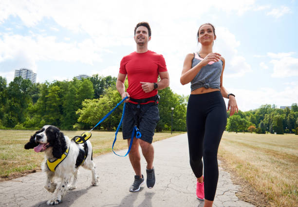 istock Morning running with dog and partner 1165113996