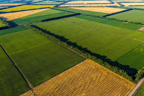 aerial flying over kukurydza, słoneczniki, soja i pola z belami słomy - aerial view mid air farm field zdjęcia i obrazy z banku zdjęć